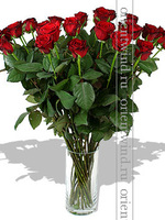 21 красная роза