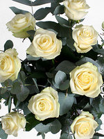 Букет цветов "9 кремовых роз"